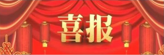 大連路陽科技開發(fā)有限公司的“PEEK改性材料及制品制備技術(shù)”，被遼寧省 ...